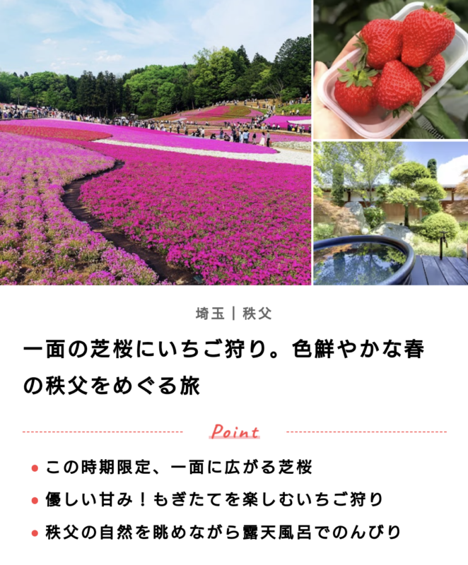 春爛漫、お花見シーズン♪
